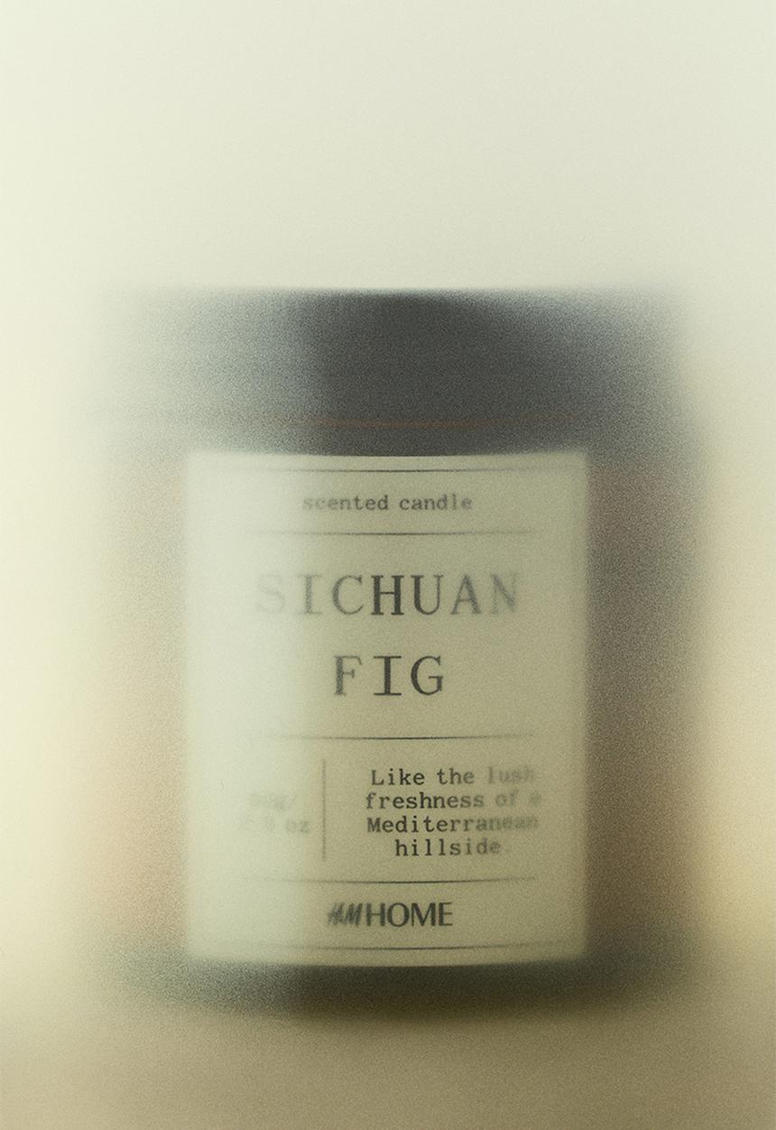 H&M - Scented candle - sichuan fig