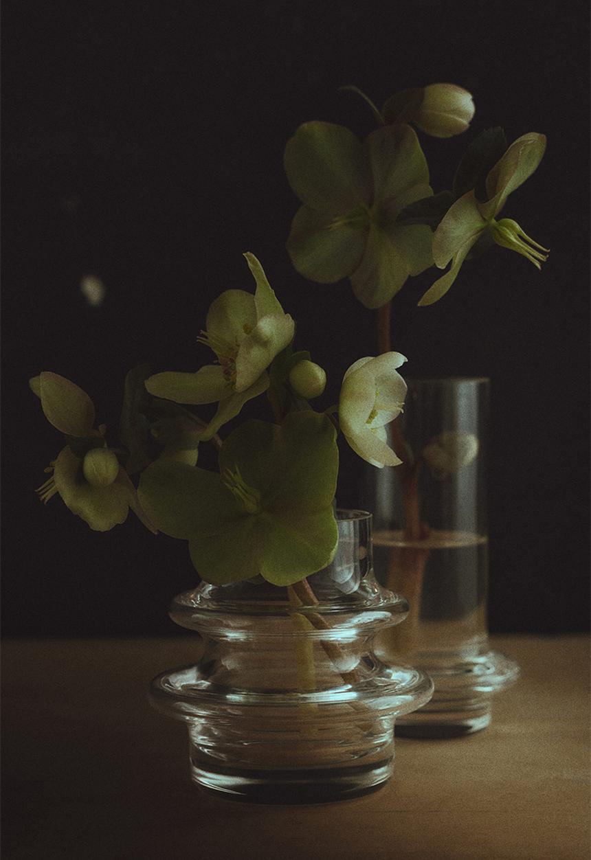 H&M - 2-Pack mini glass vases - transparent