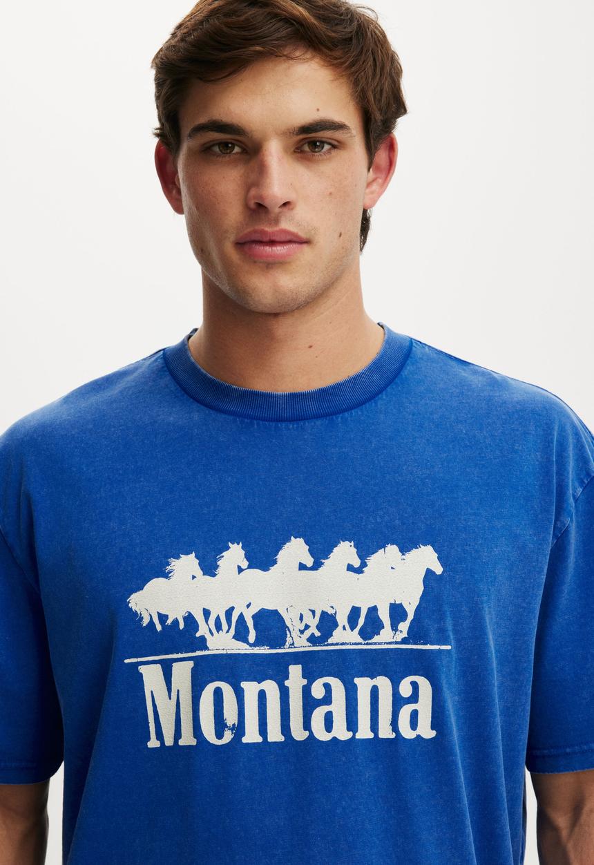 Cotton On - Everyday Fit Graphic T-shirt - Royal Blue/Montanna