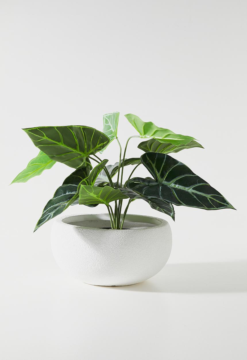 Sixth Floor - Ikebana Indoor/Outdoor Fibreclay Planter - White
