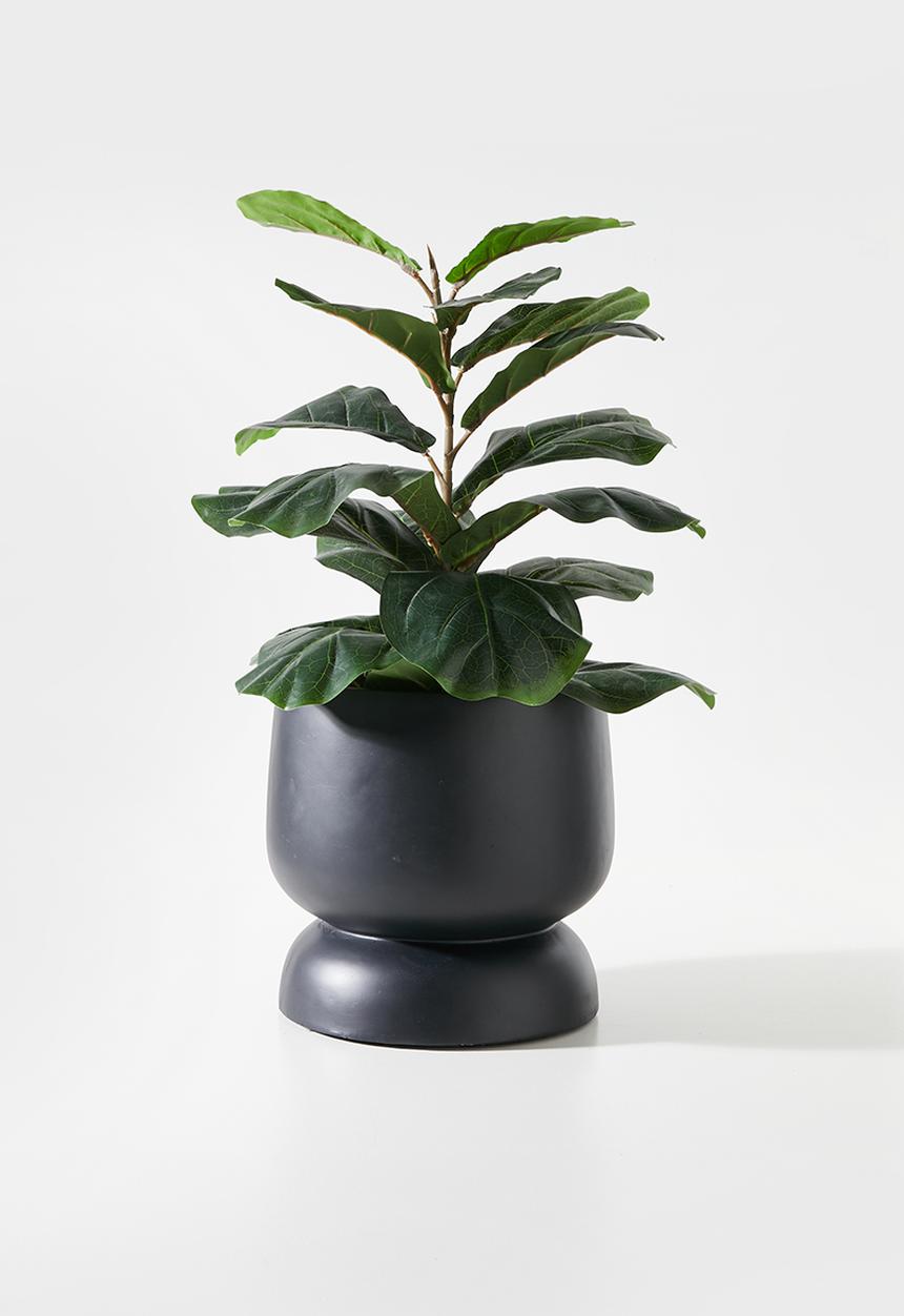 Sixth Floor - Luka Indoor/Outdoor Fibreclay Planter - Black