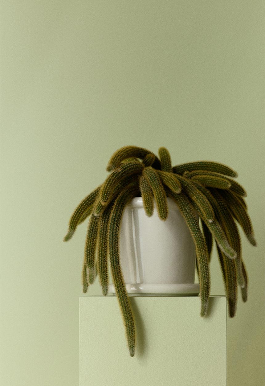 H&M - Stoneware plant pot with saucer - white