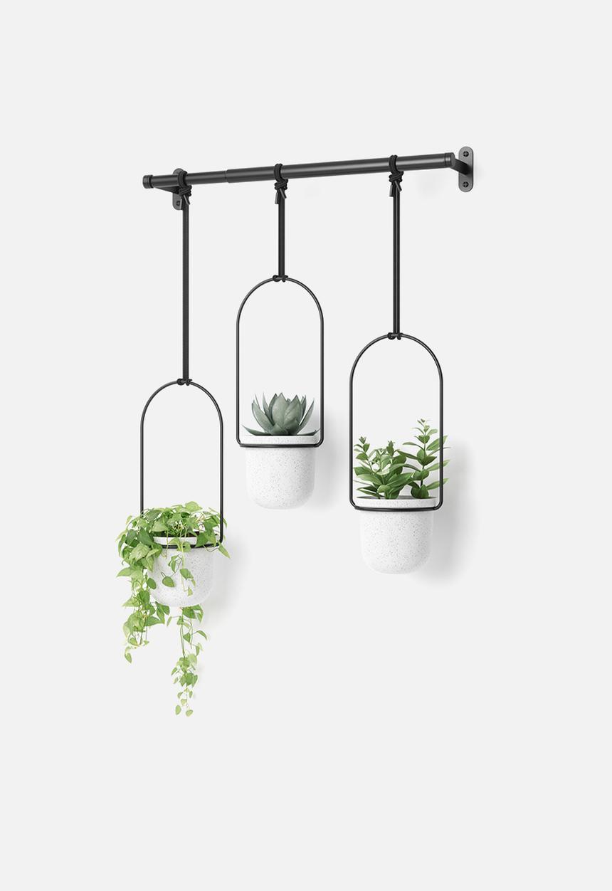 Umbra - Triflora Hanging Planter - White