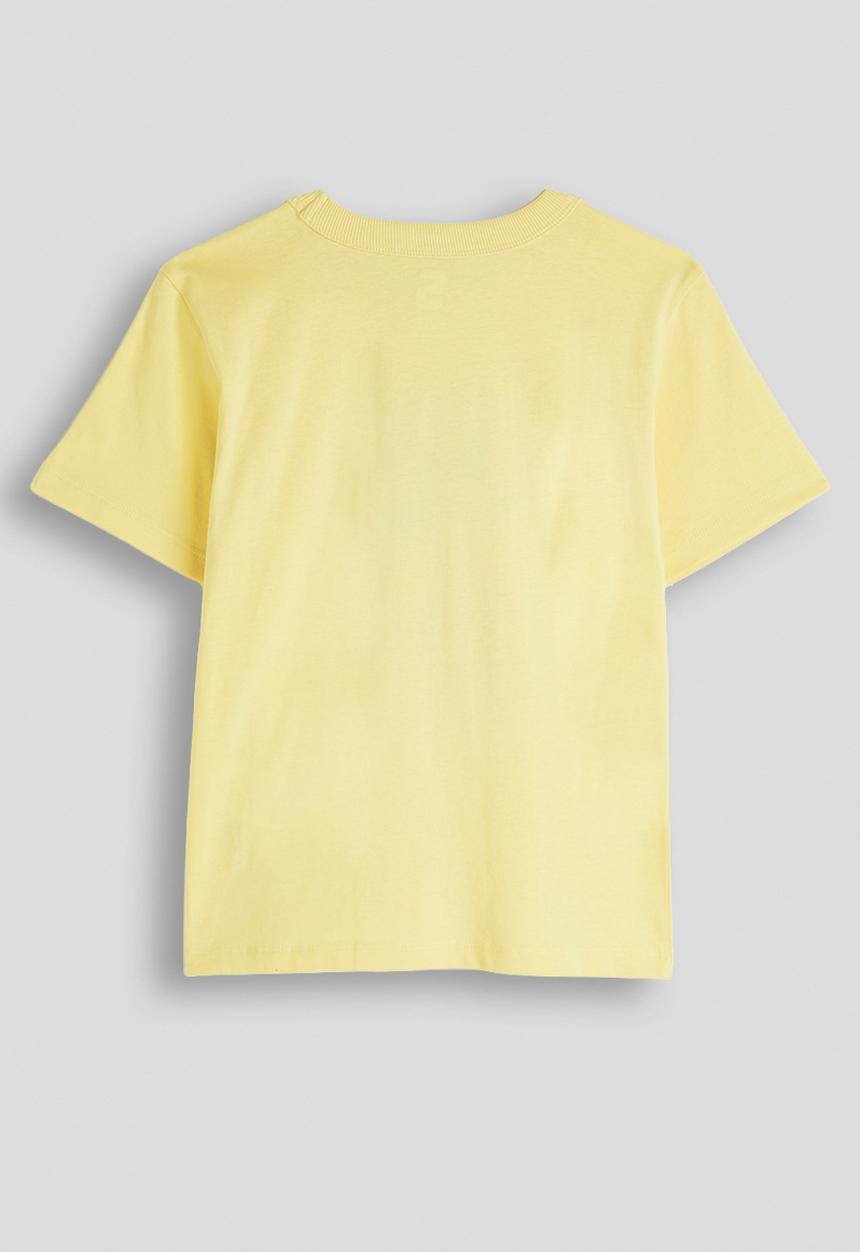Cotton On - Poppy Oversize Graphic Print Tee - Baby Yellow/Flower run