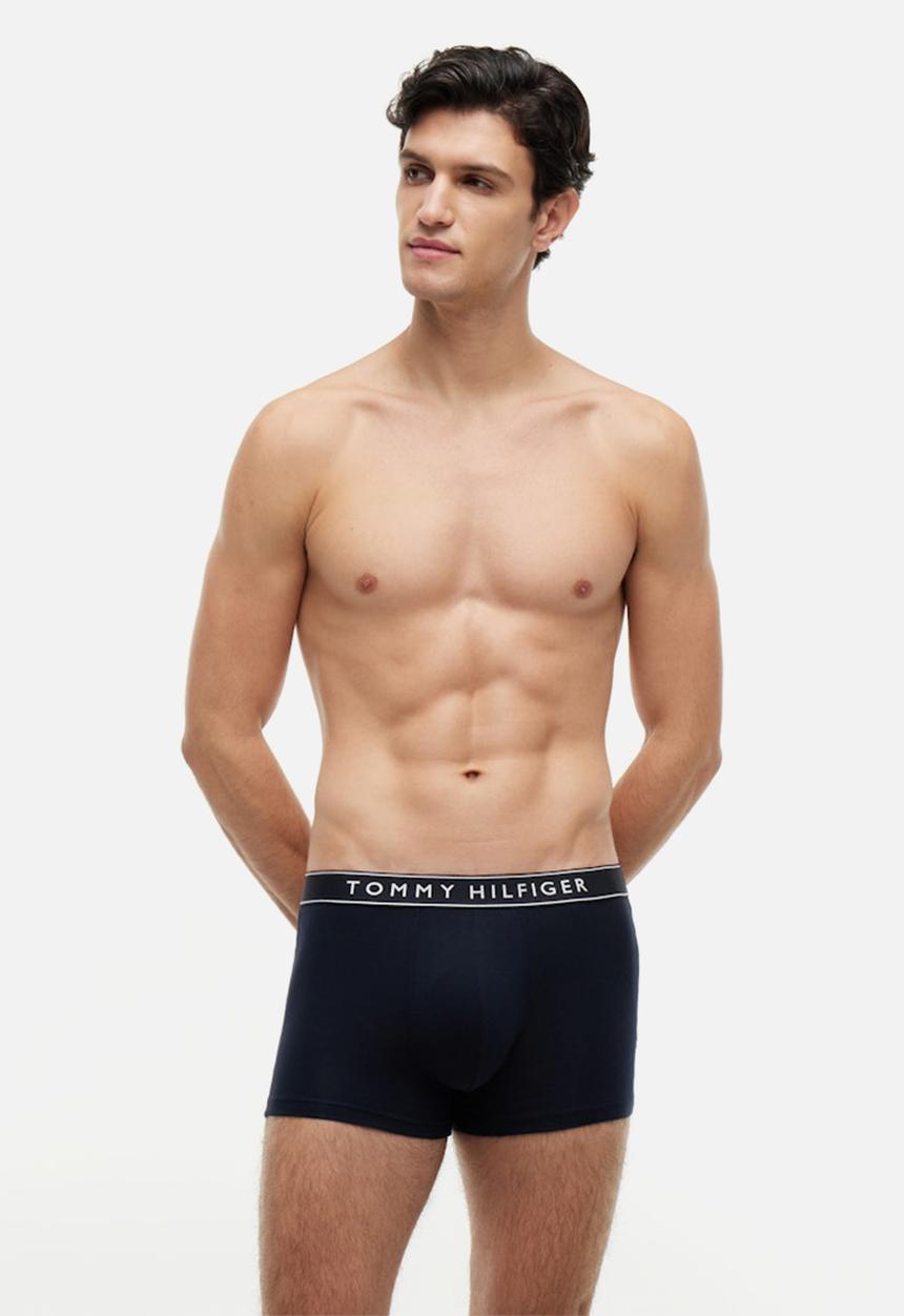 Tommy Hilfiger - 3 Pack TRUNK DTM - Des Sky/Des Sky/Des Sky