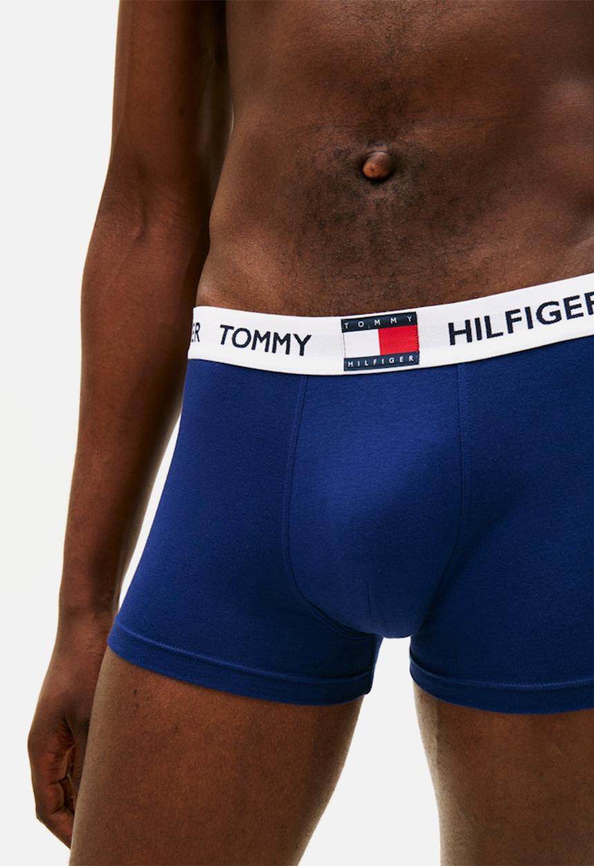 Tommy Hilfiger - 3 Pack TRUNK - Utl Sge/Prppy Nvy/Keepsake Blu