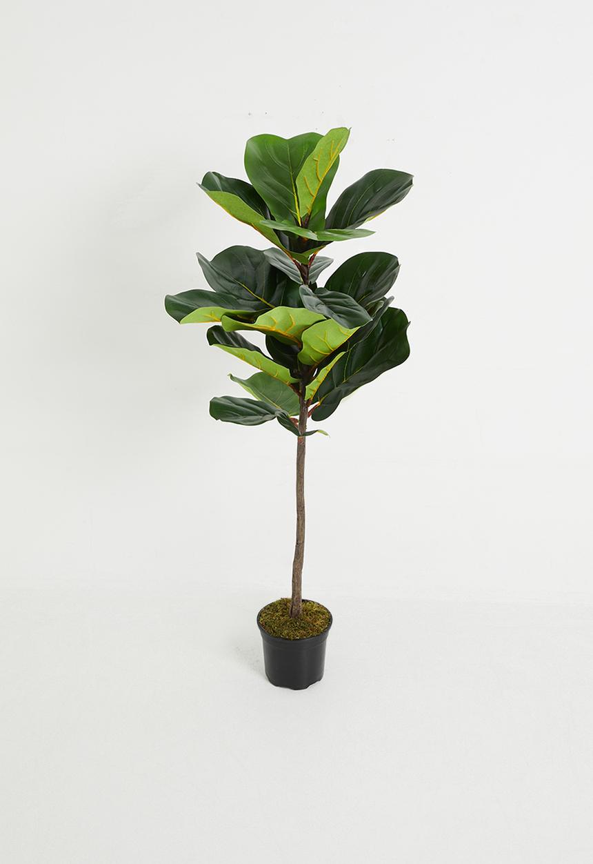 Silk By Design - Fiddle Leaf Tree - green