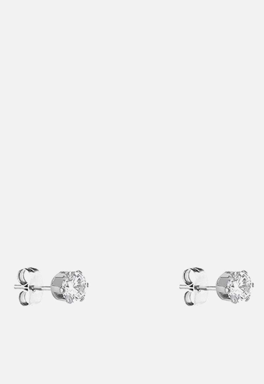 Daniel Klein - DKJ530008M-1 Earring - Silver