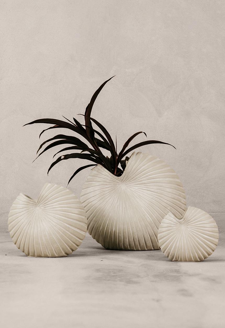 Noha - Spirula Vase Set Of 3