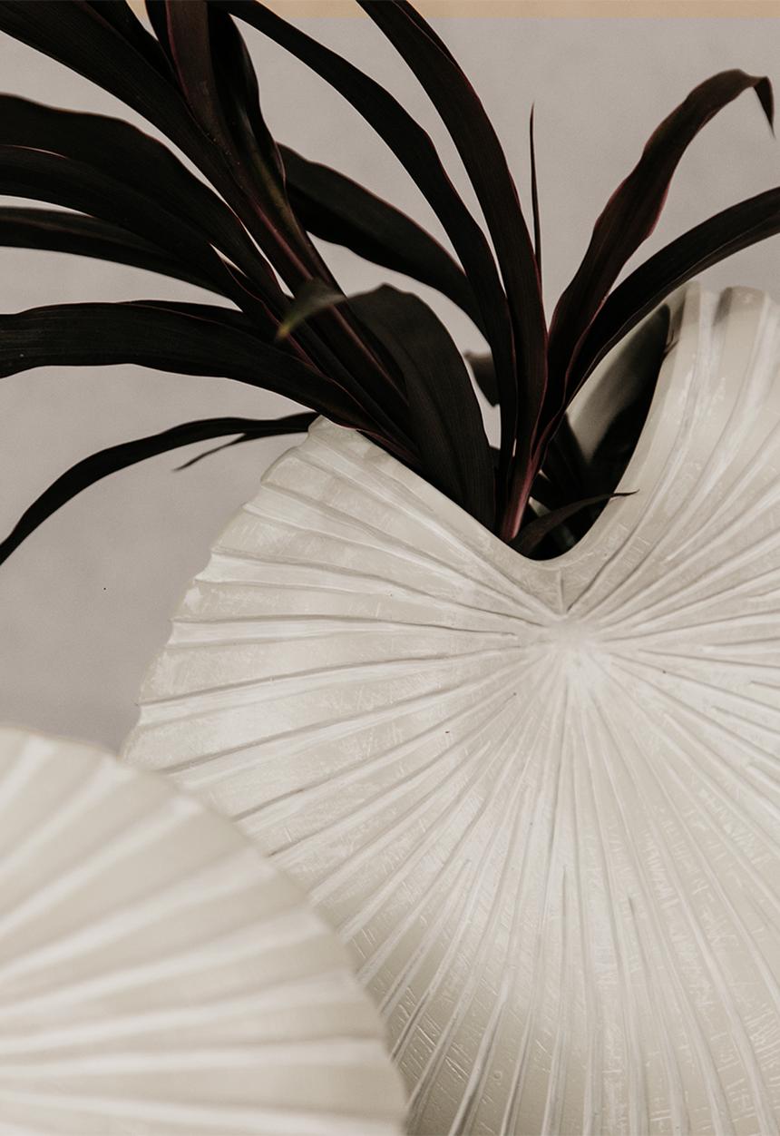 Noha - Spirula Vase Set Of 3