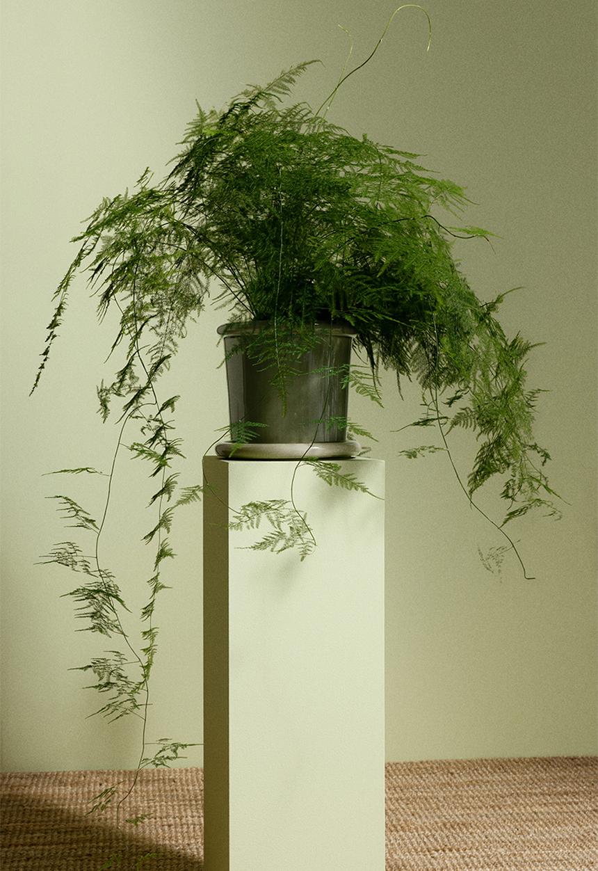 H&M - Large stoneware plant pot with saucer - light green