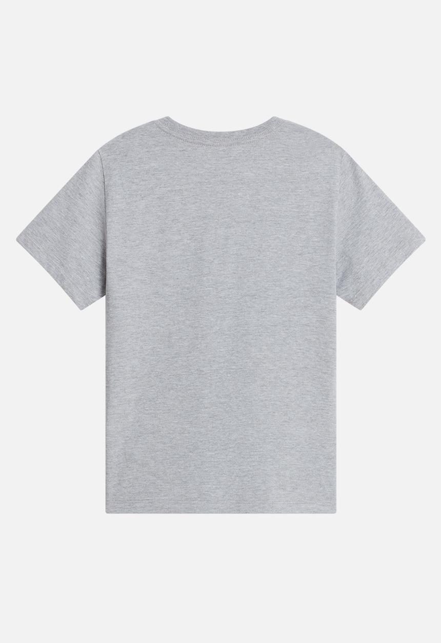The North Face - Teen evolution simple dome s/s tee - tnf pale grey heather (cqo)