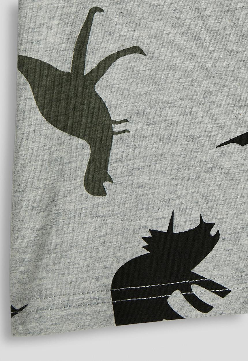 Pop Candy - Dino aop crew neck tee - grey