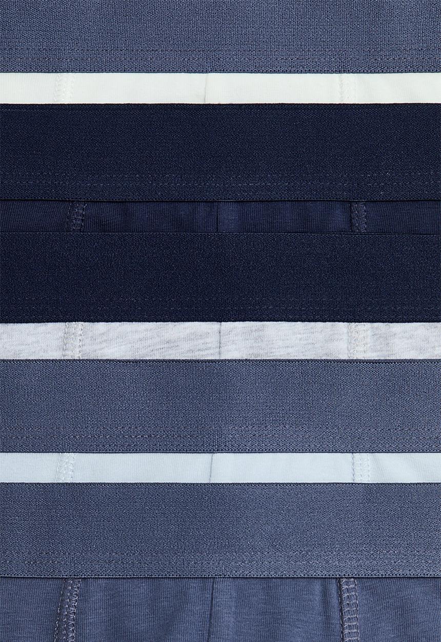 H&M - 5-pack trunks - dusty blue/light blue