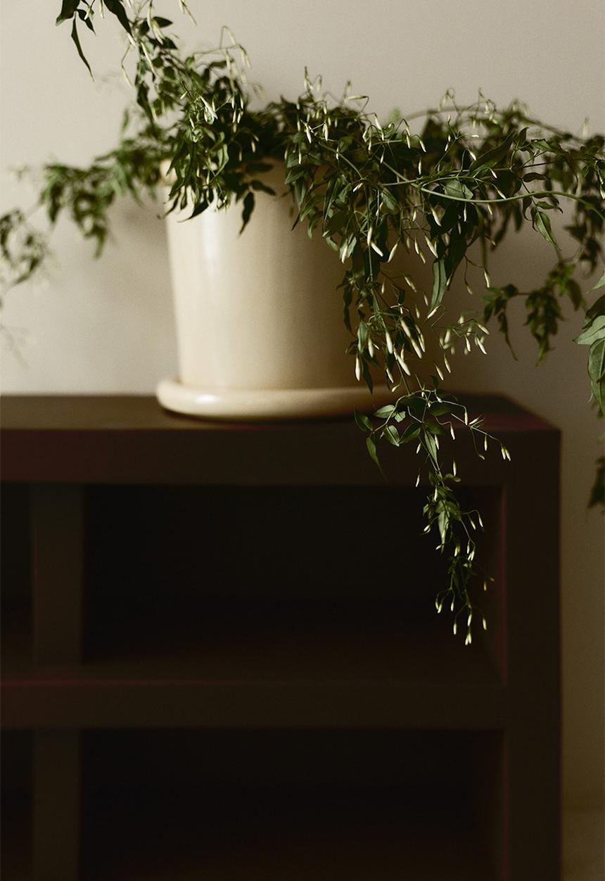 H&M - Large stoneware plant pot with saucer - light yellow