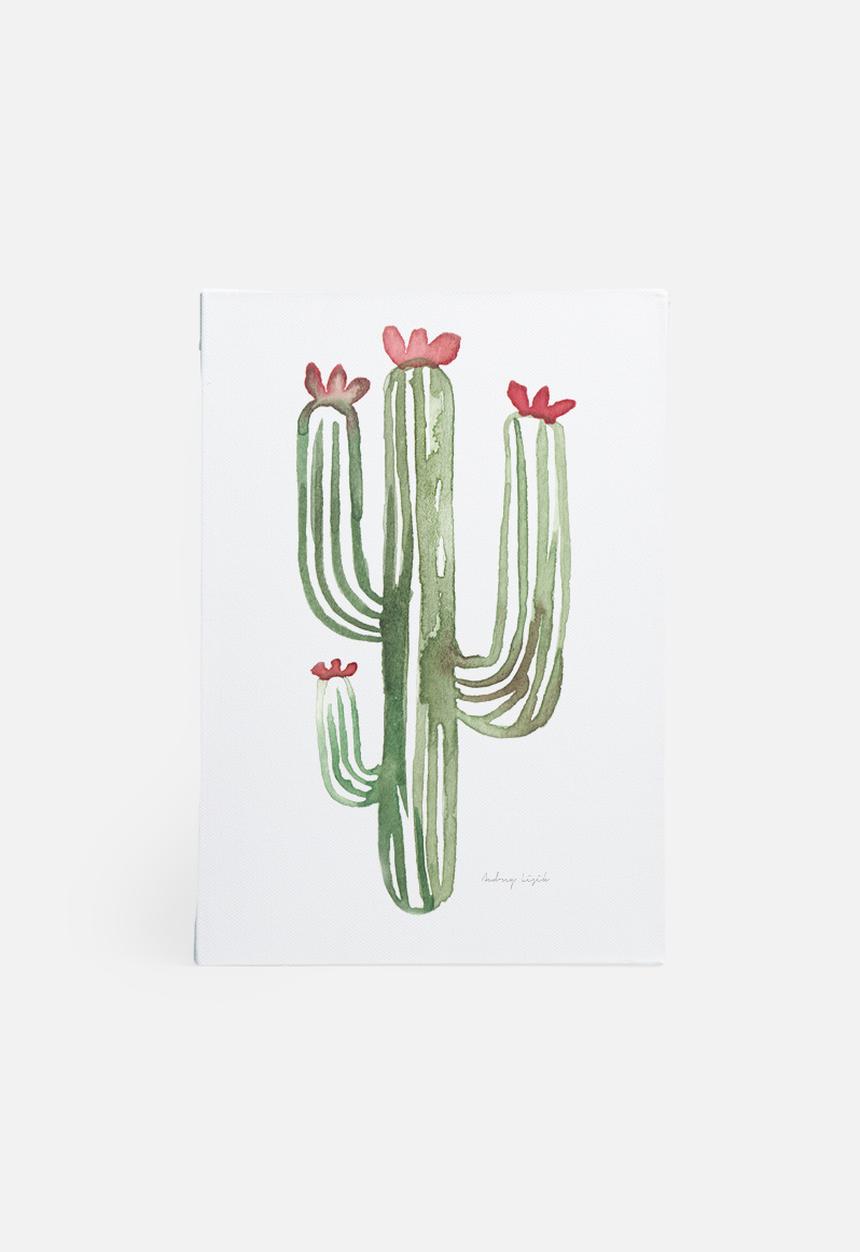 Stohne - Cactus cacti