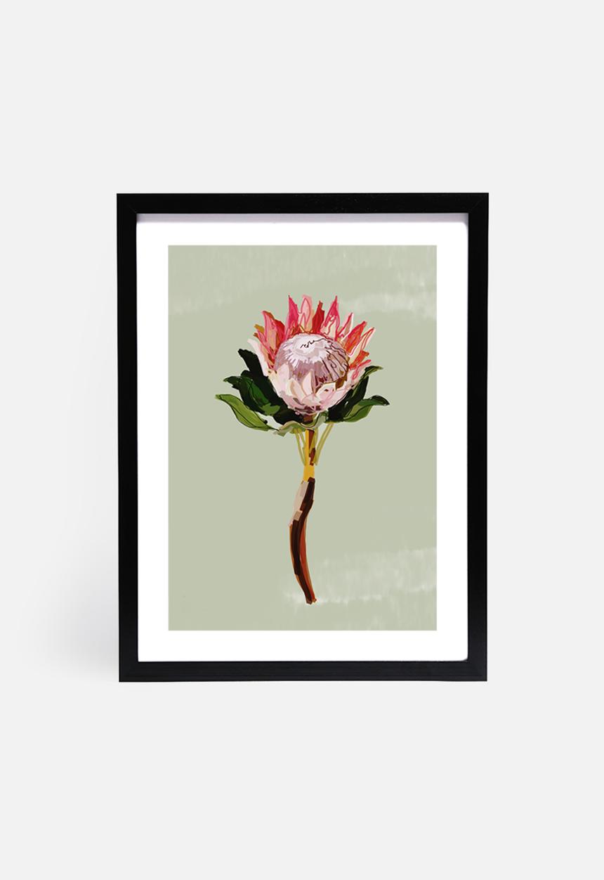 Sarah Allderman - Protea 1