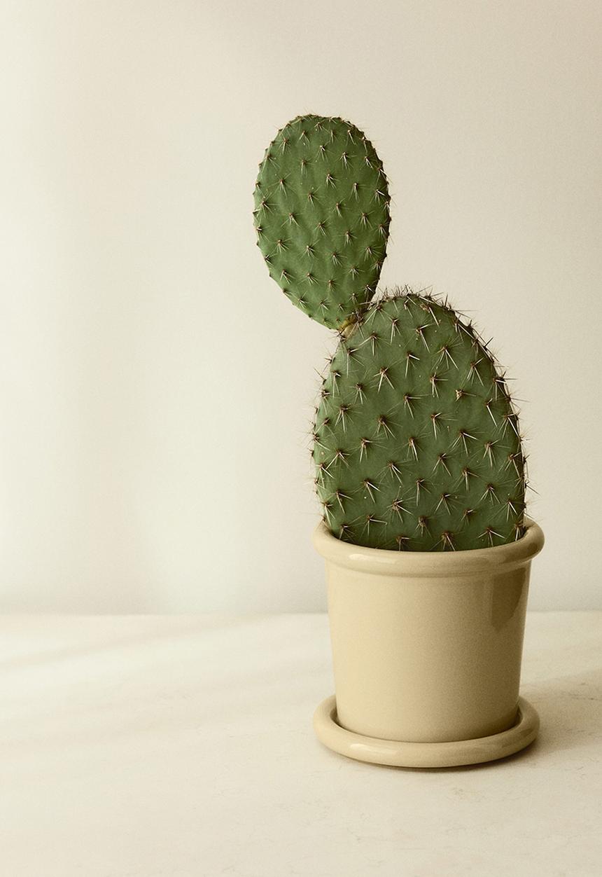 H&M - Stoneware plant pot with saucer - light yellow