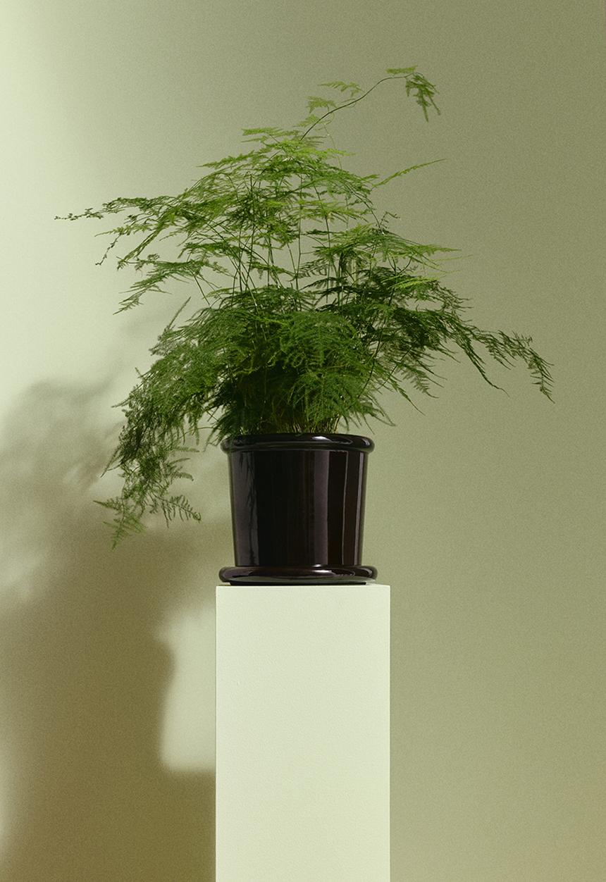 H&M - Large stoneware plant pot with saucer - dark brown