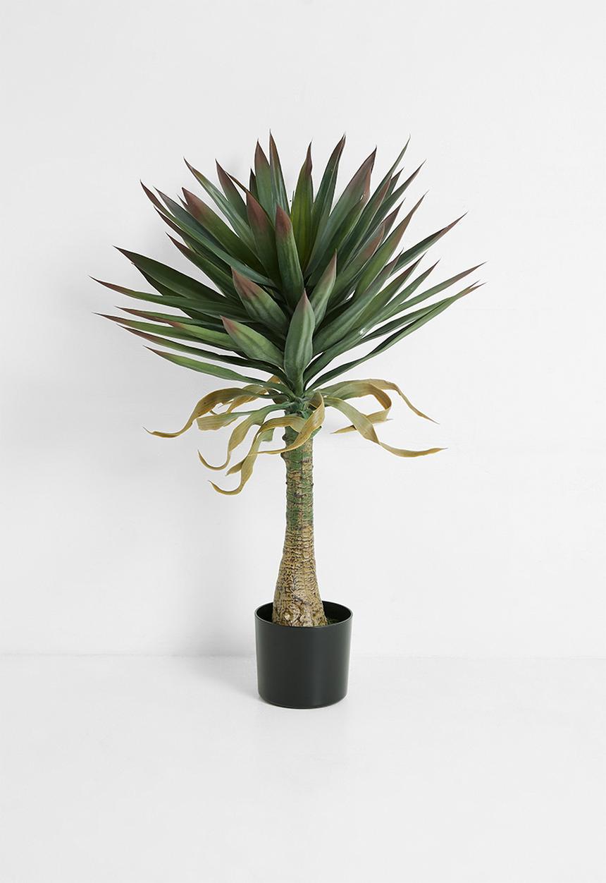 H&S - Artificial Yucca Tree 90Cm
