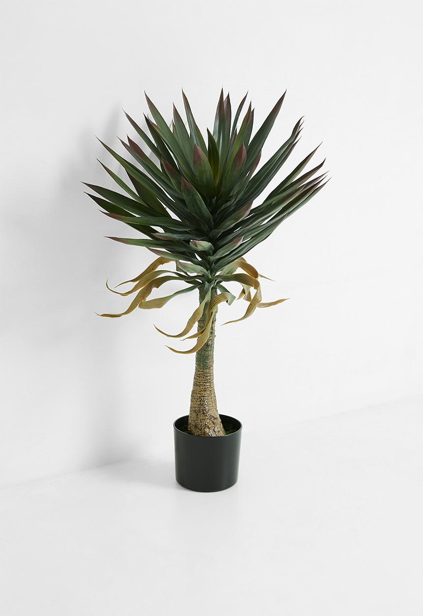 H&S - Artificial Yucca Tree 90Cm