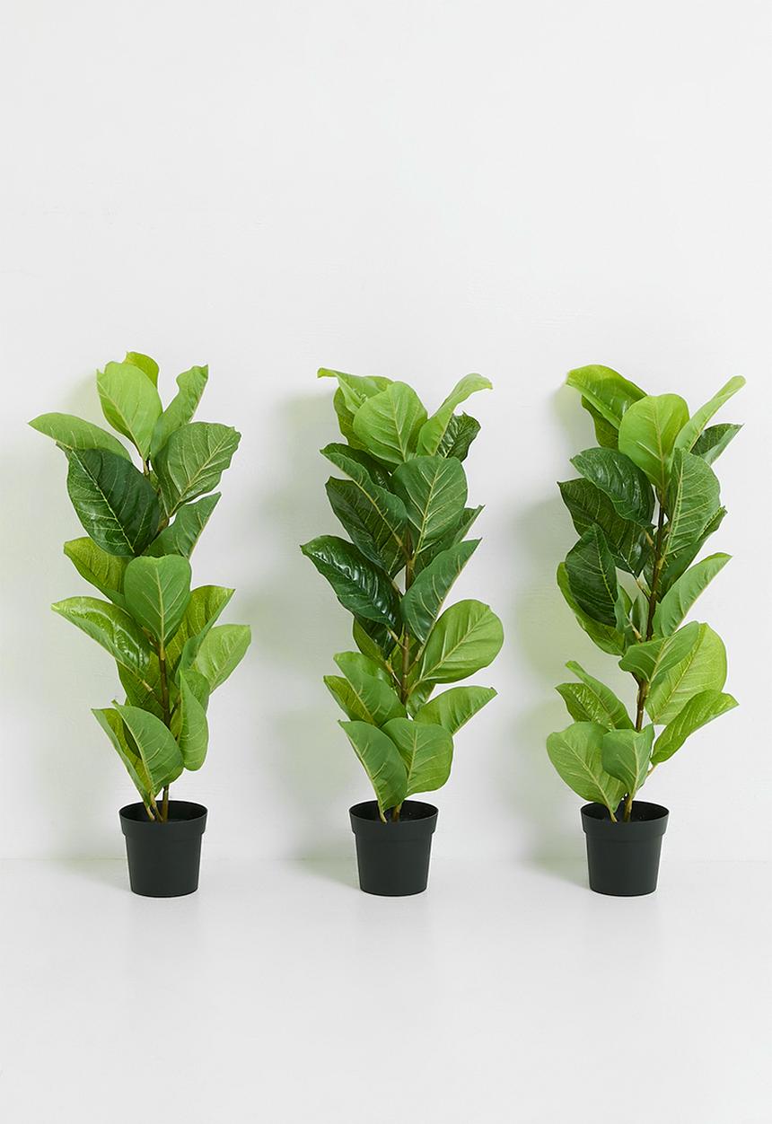 H&S - Artificial fiddle in pot - Green
