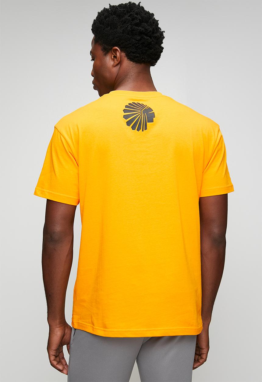 KAPPA - Amonid am - yellow saffron