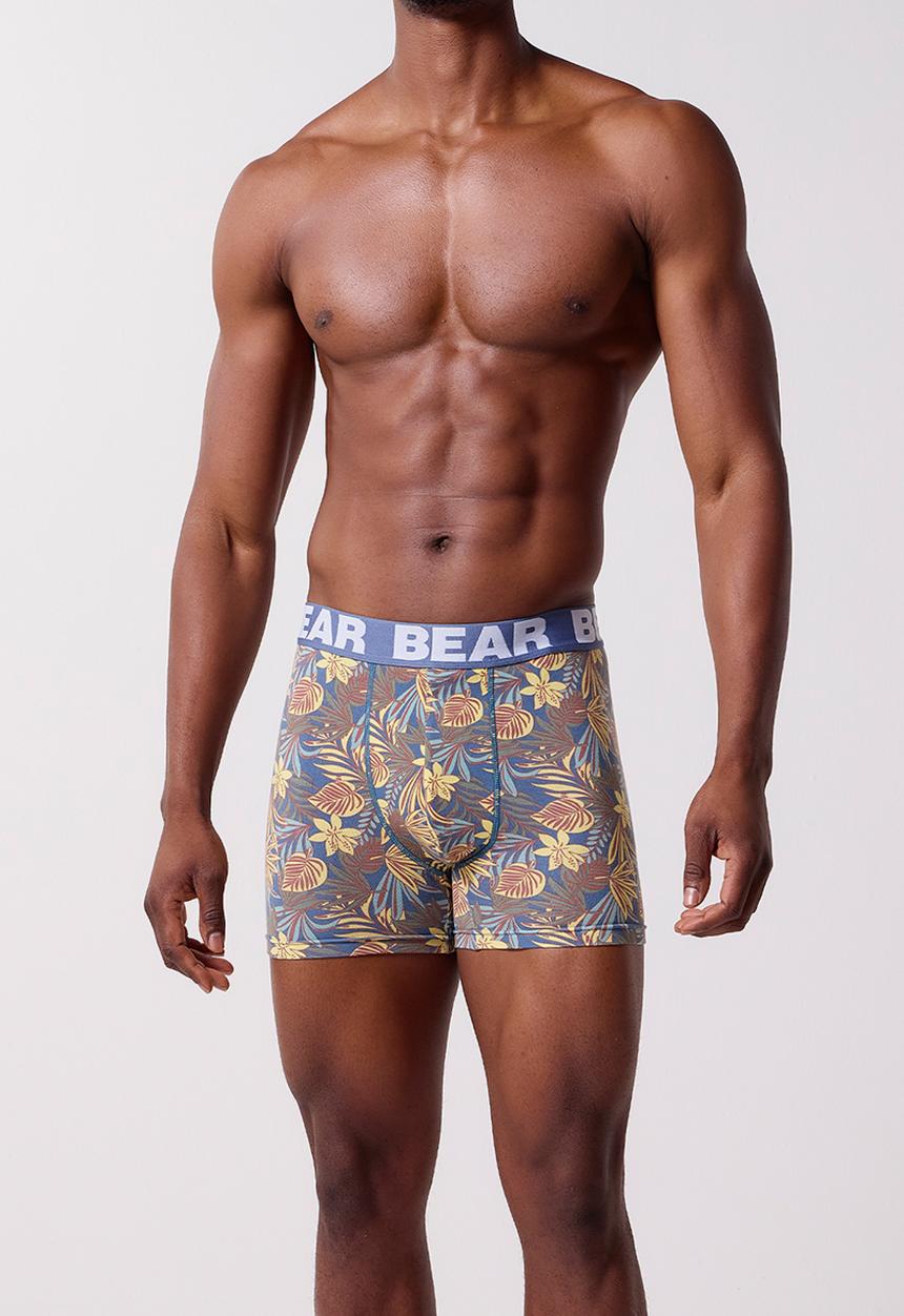 Bear - 3Pk Fashion Bodyshort - Green Multi