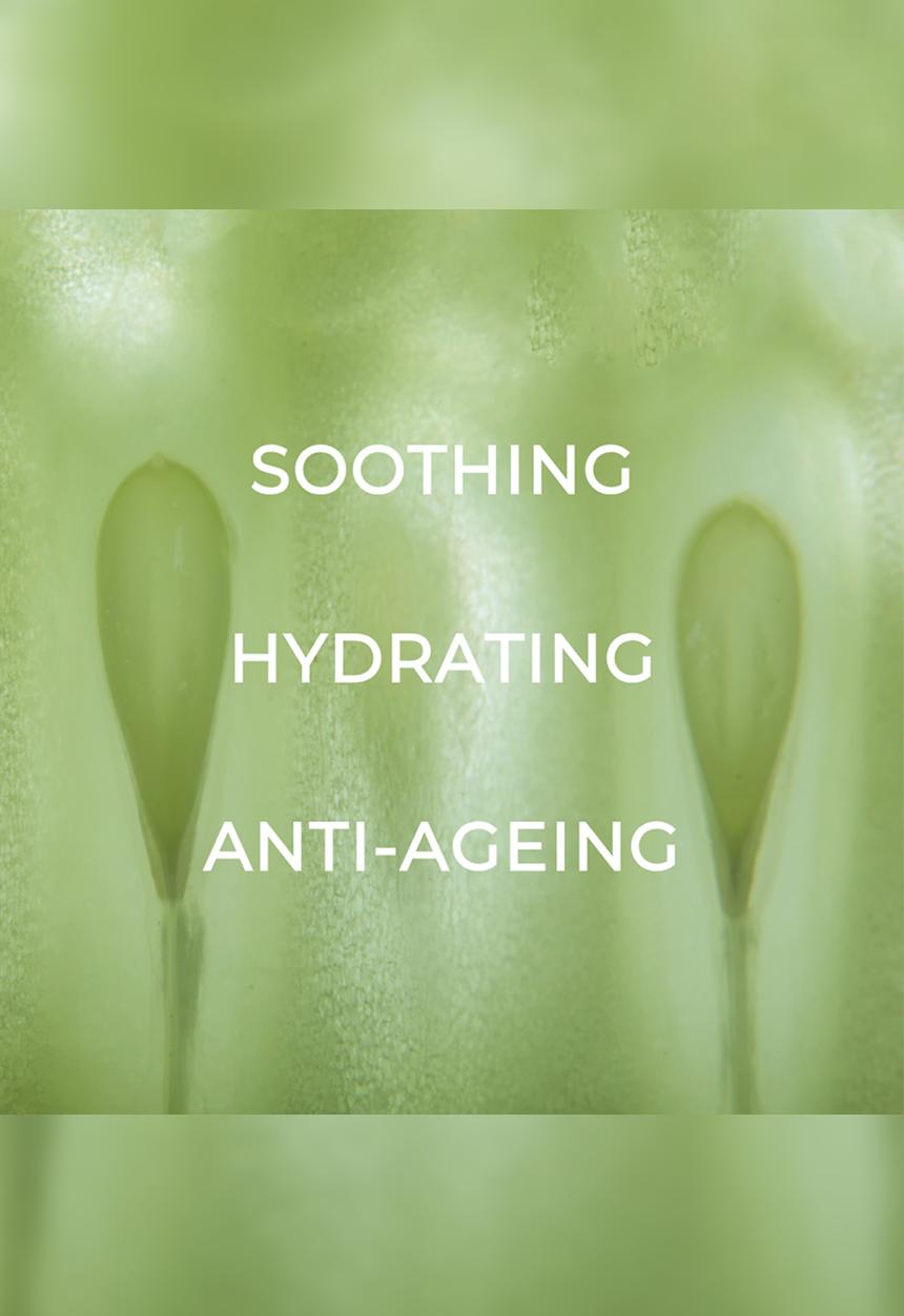 Standard Beauty - Aloe & Cucumber Toner with Niacinamide for Sensitive Skin