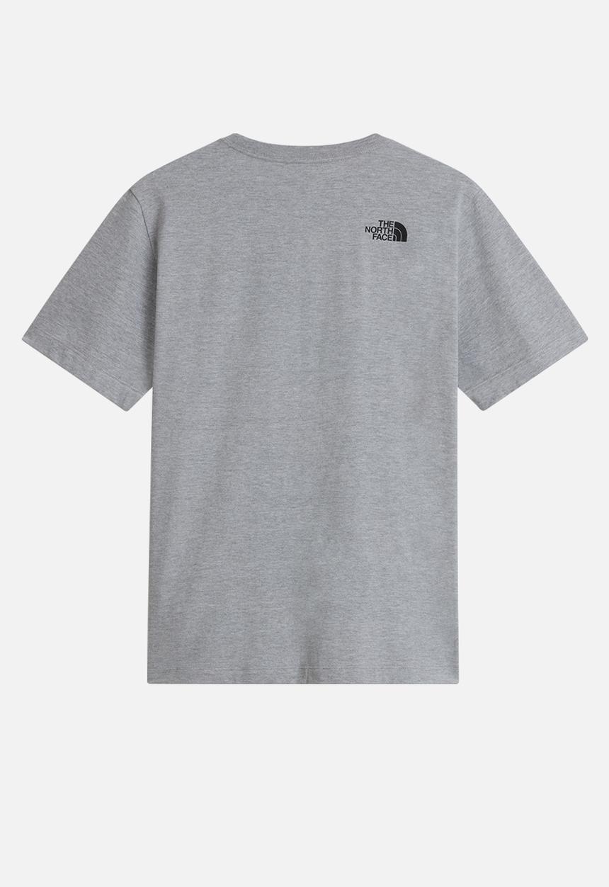 The North Face - M evolution box half dome regular short tnf - pale grey heather