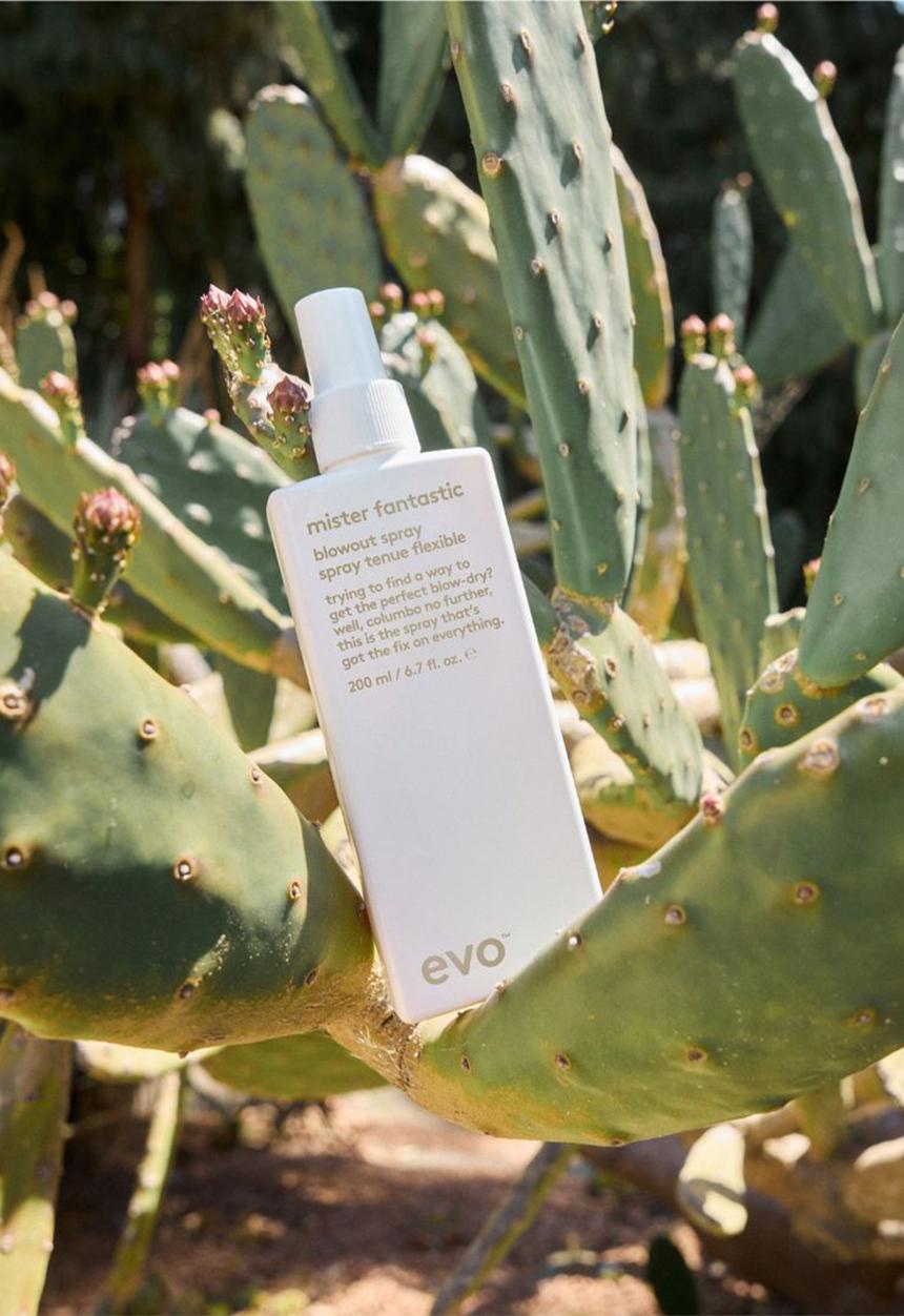 EVO - Mister Fantastic Blowout Spray - 200ml