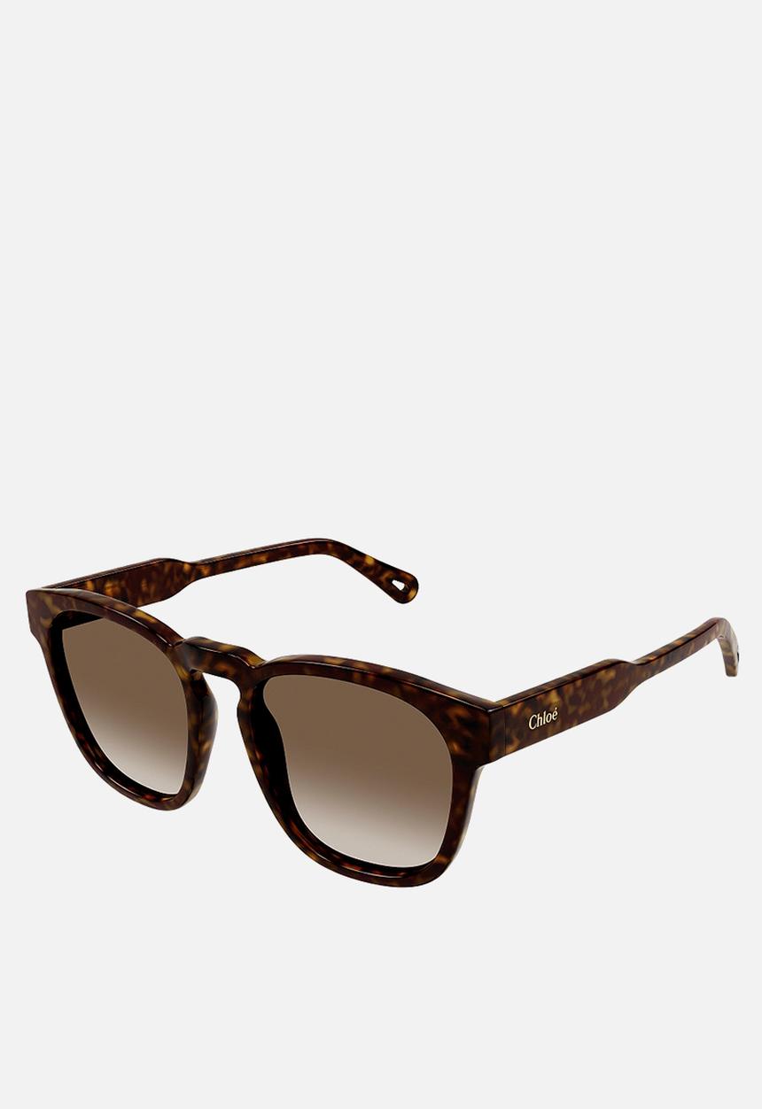 Chloe - CH0160S-002 54 Sunglass - Havana
