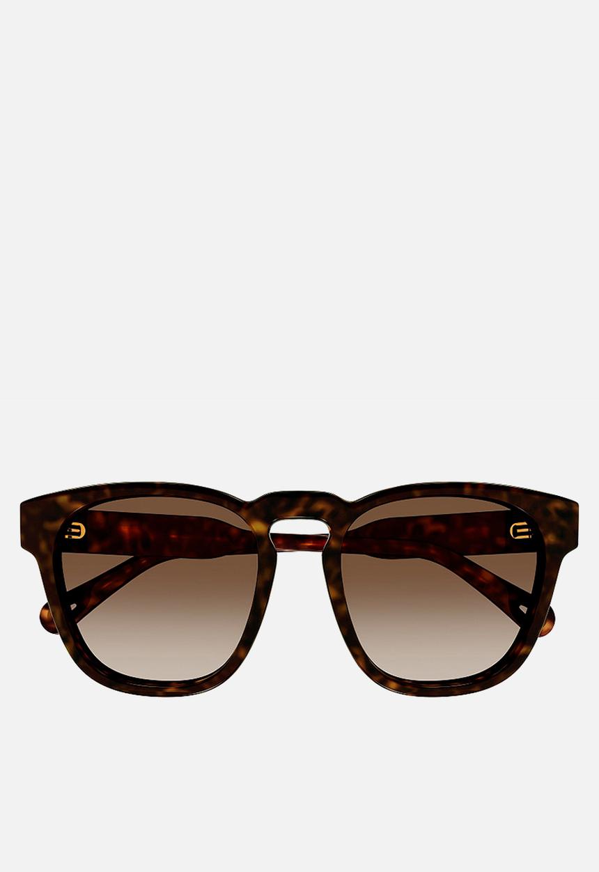 Chloe - CH0160S-002 54 Sunglass - Havana