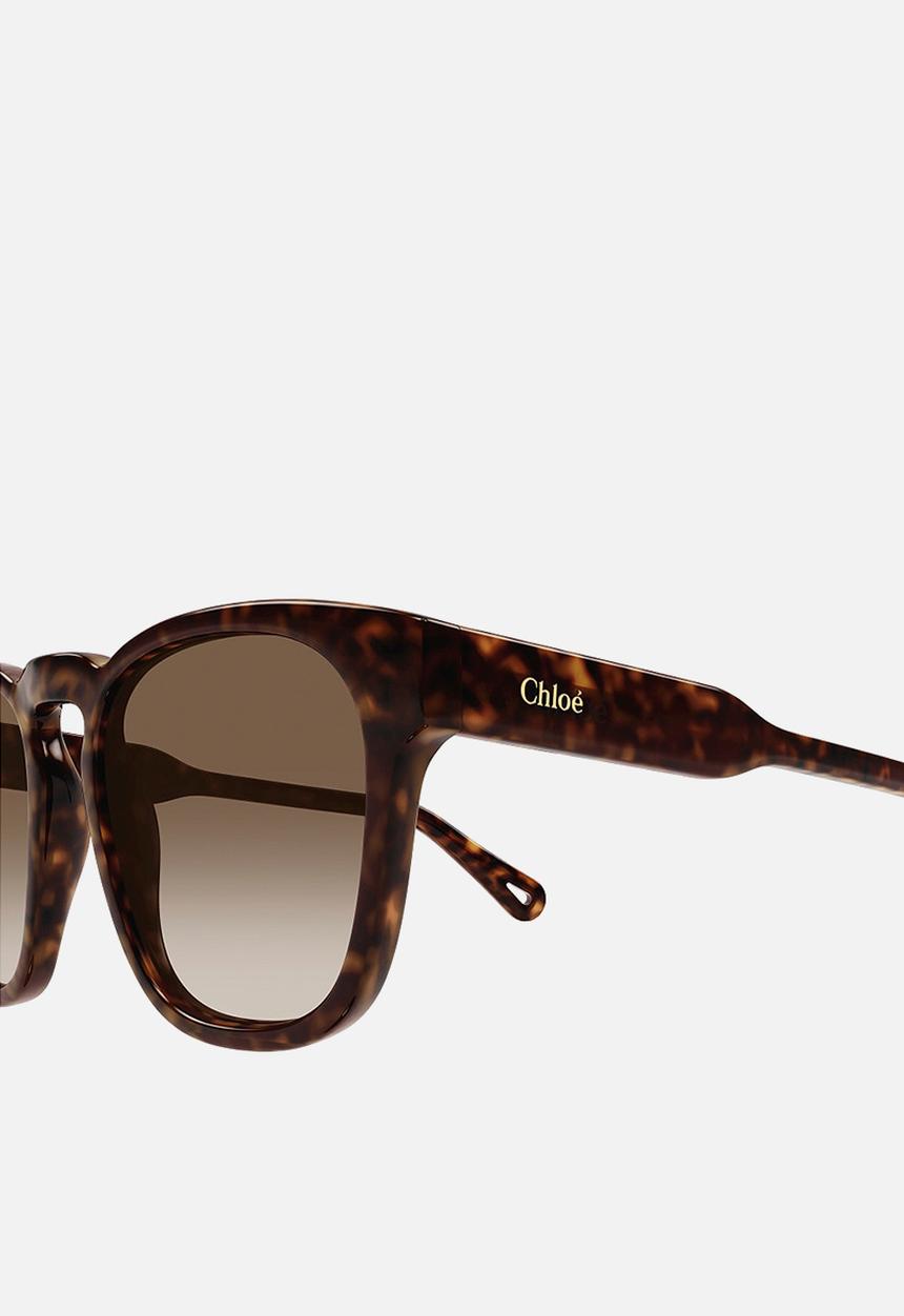 Chloe - CH0160S-002 54 Sunglass - Havana