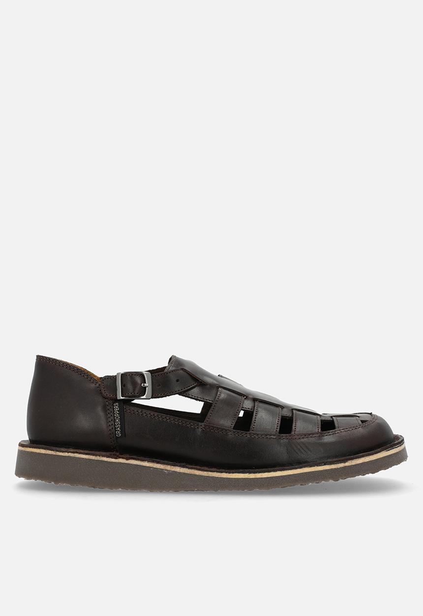 Grasshoppers - Crixus gladiator - brown 