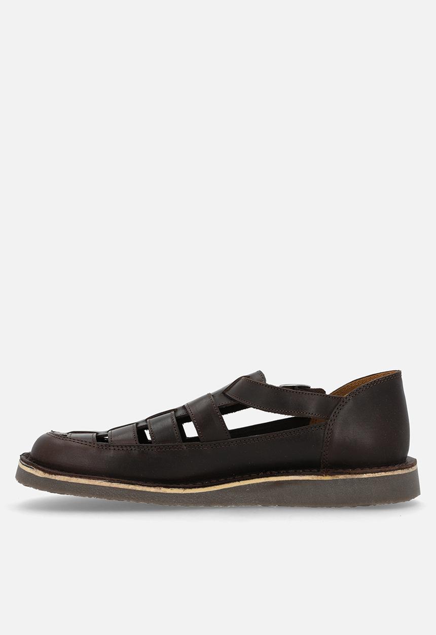 Grasshoppers - Crixus gladiator - brown 