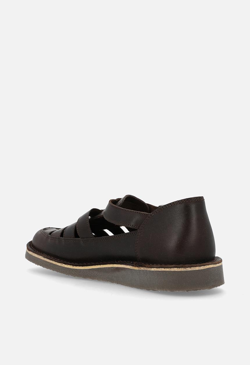 Grasshoppers - Crixus gladiator - brown 