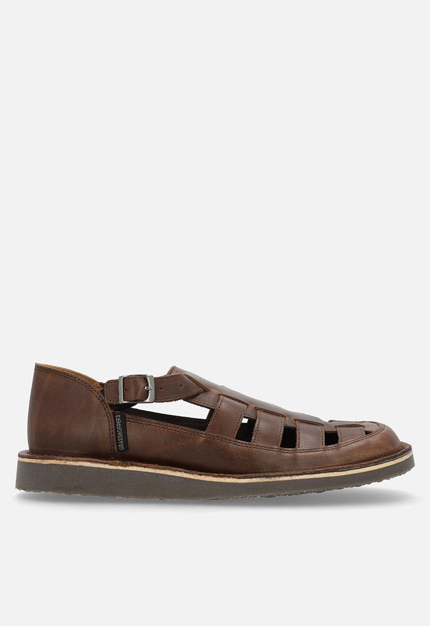 Grasshoppers - Crixus gladiator - oatmeal 
