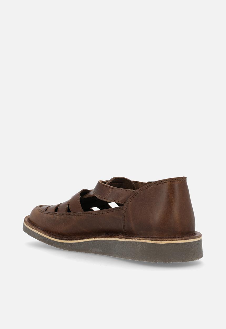 Grasshoppers - Crixus gladiator - oatmeal 