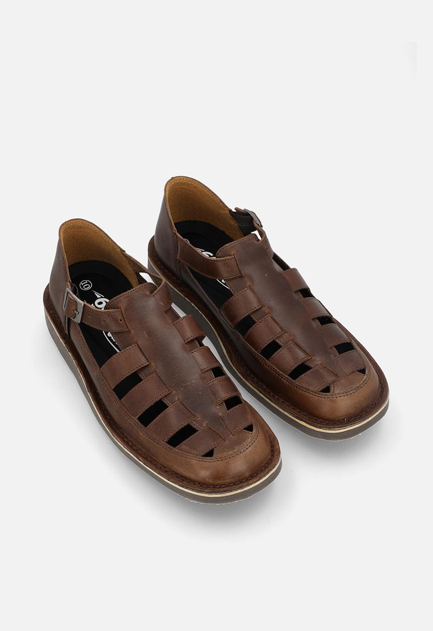 Grasshoppers - Crixus gladiator - oatmeal 