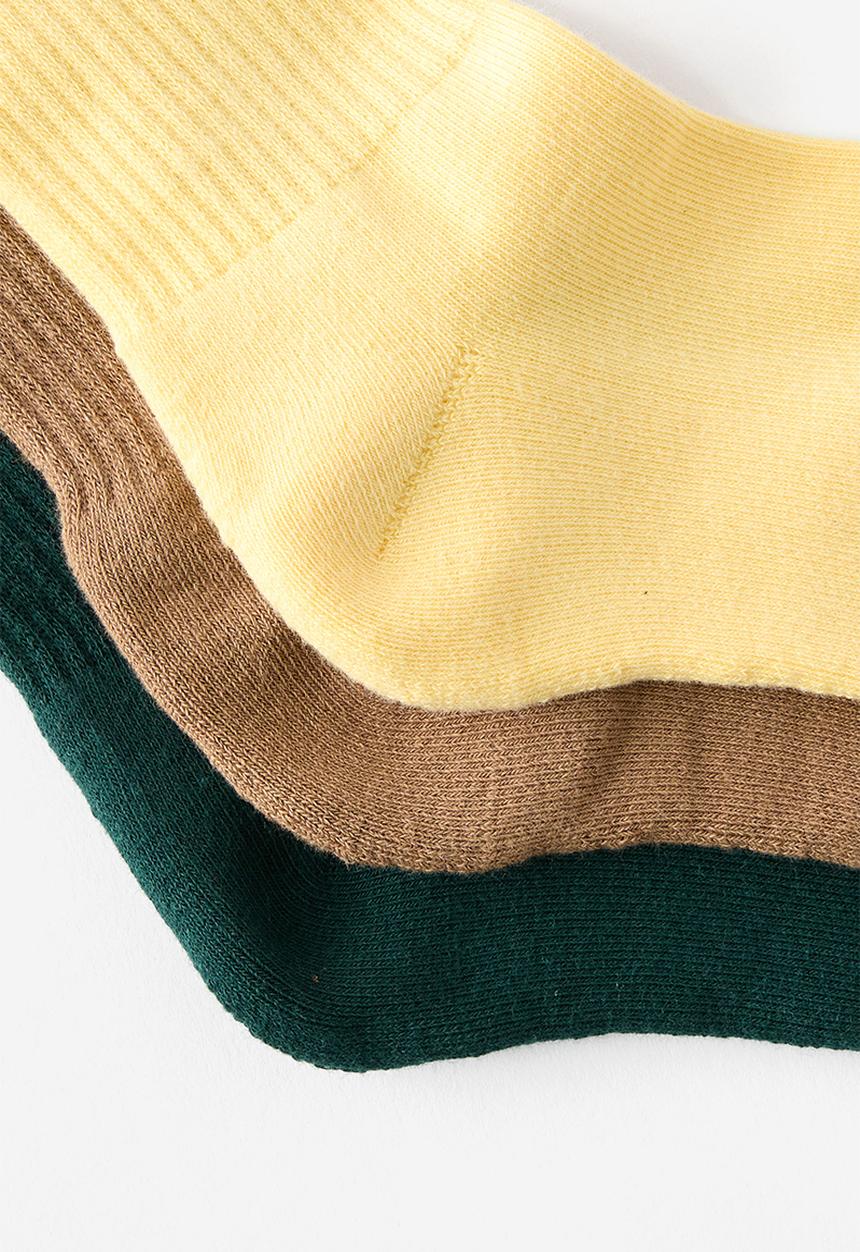 Cotton On - 3 PACK ESSENTIAL CREW SOCKS - BUTTER YELLOW/TAUPE/PINENEEDLE