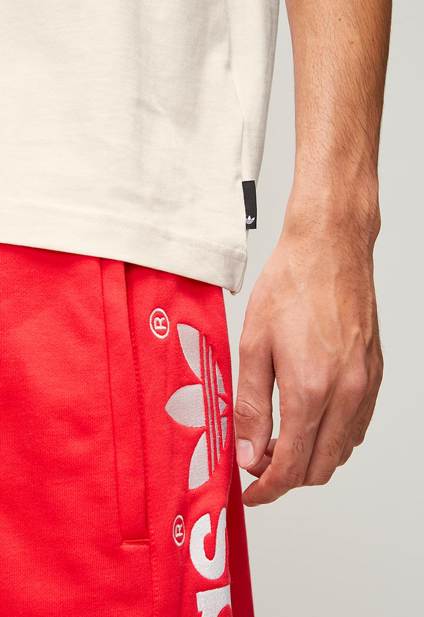 adidas Originals - Varsity bird A Tee- Cloud white