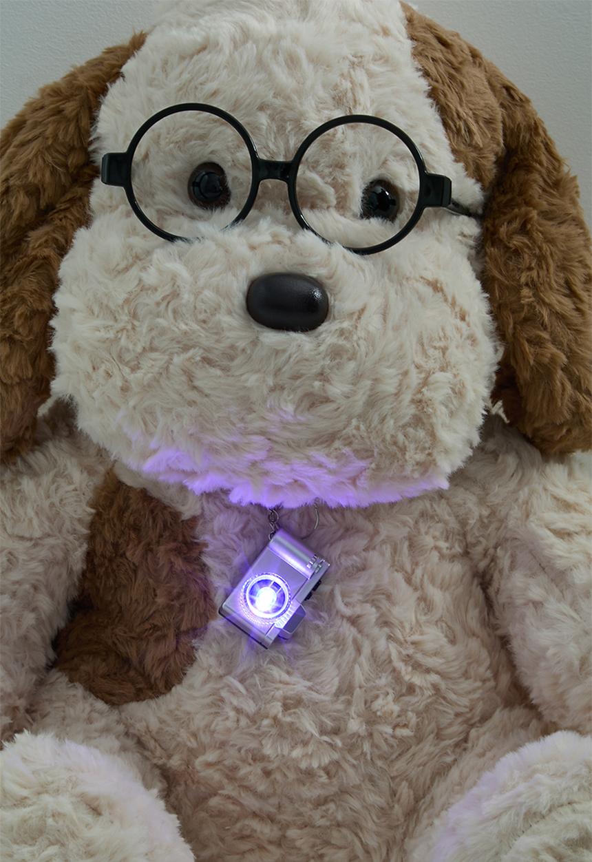 Pop Candy - Supersoft pup plushie - beige/brown