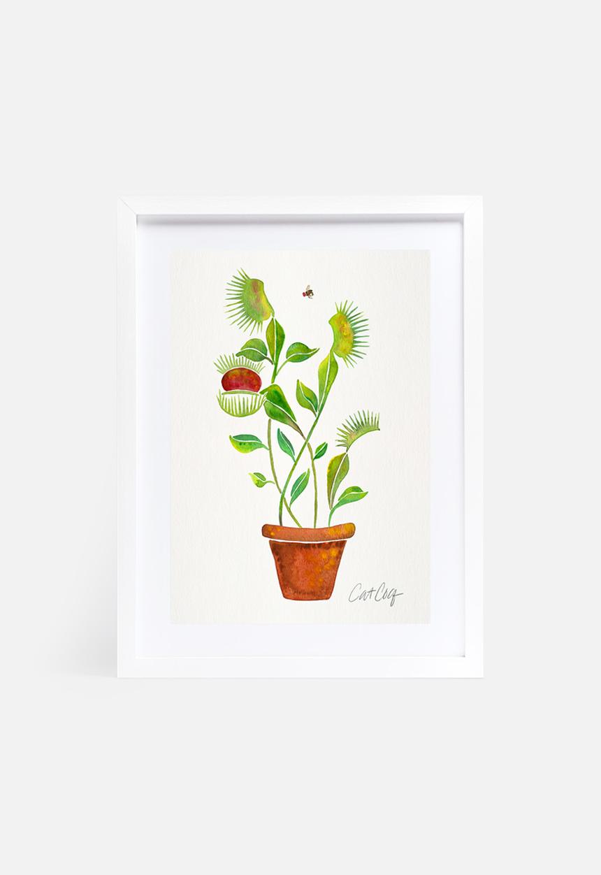Cat Coquillette - Venus fly trap