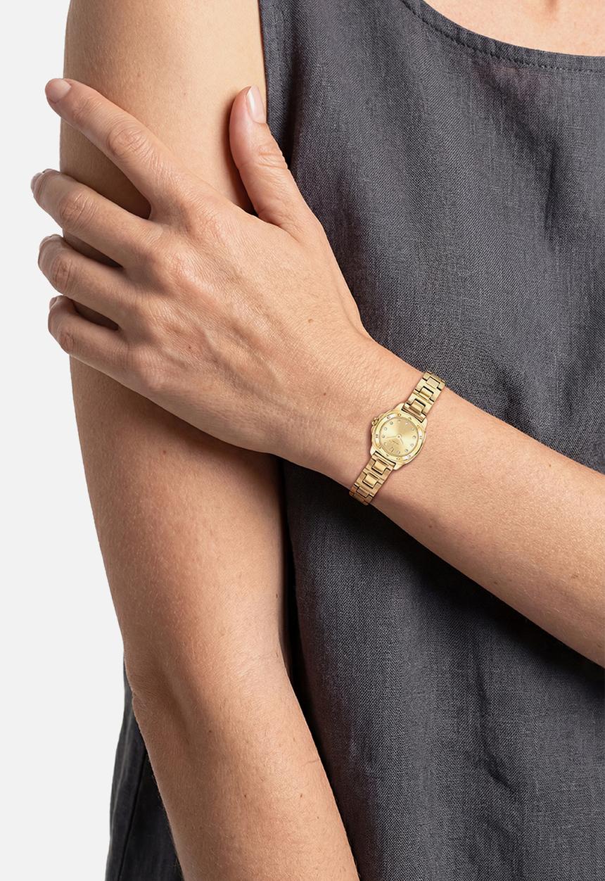 Coach - Kitt  14504728CH Watch - Gold