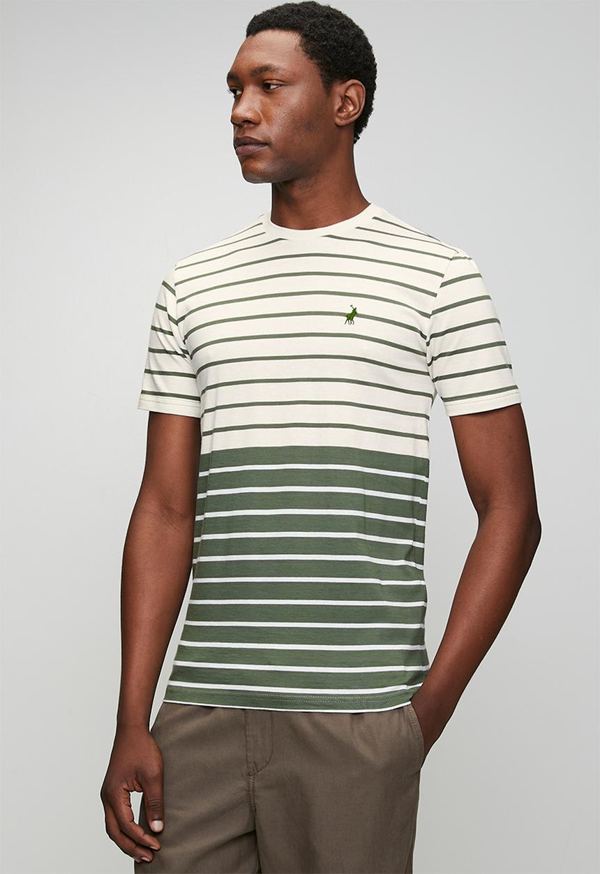POLO - Mens crew neck stripe y/d  short sleeve tee - khaki