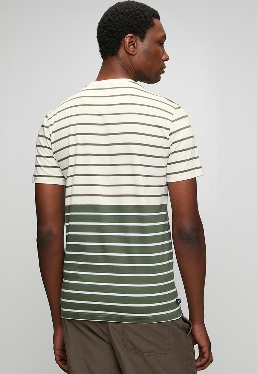 POLO - Mens crew neck stripe y/d  short sleeve tee - khaki