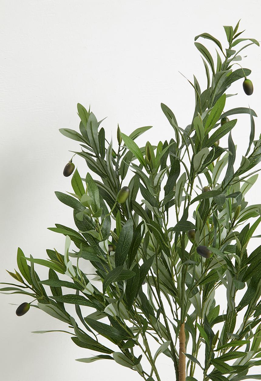 Sixth Floor - Olive Tree Artificial Plant 90cm