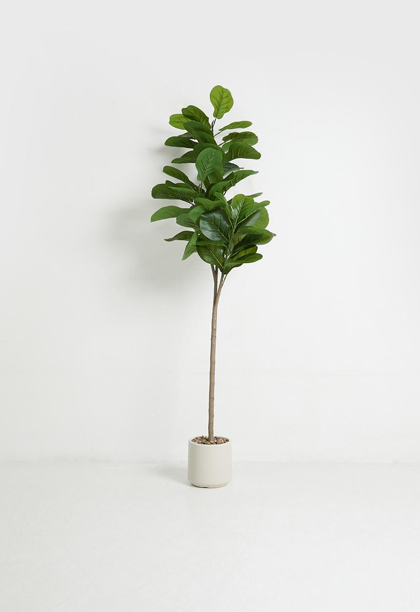 Sixth Floor - Fiddleleaf Artificial tree 150cm