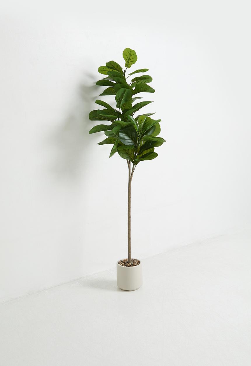 Sixth Floor - Fiddleleaf Artificial tree 150cm